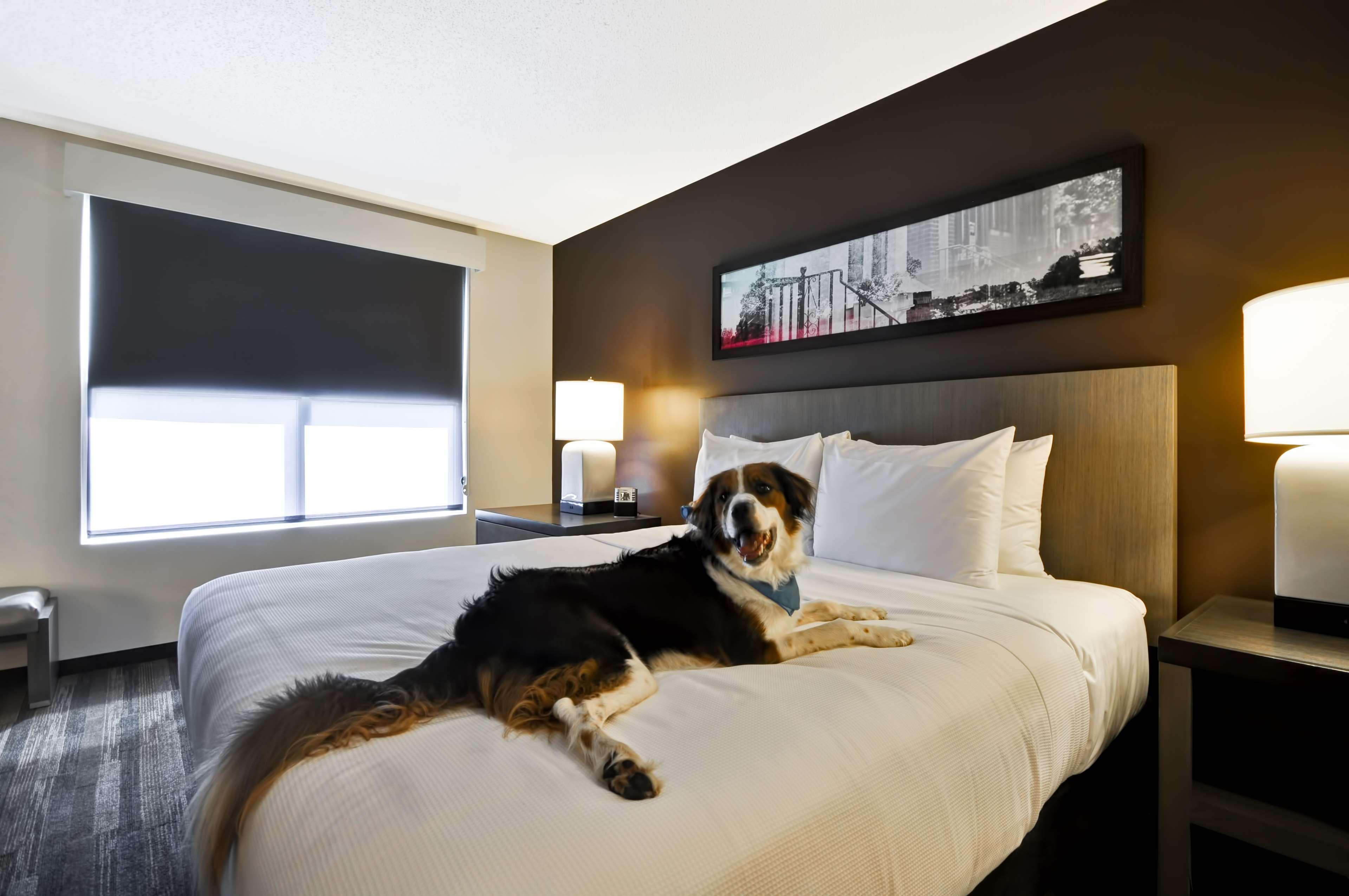 Hyatt House Atlanta Cobb Galleria Smyrna Dış mekan fotoğraf