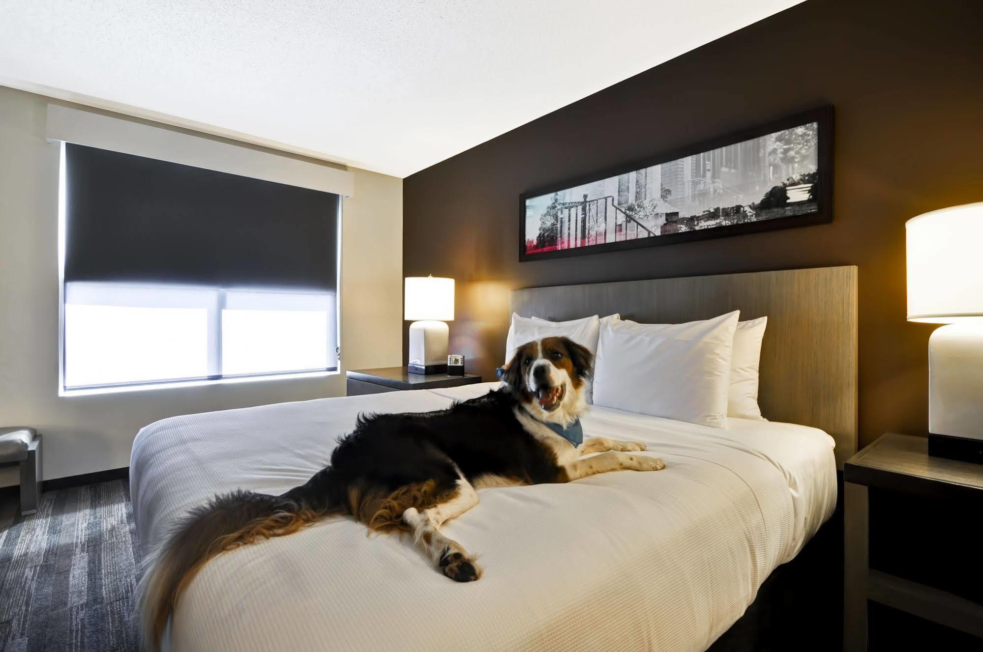 Hyatt House Atlanta Cobb Galleria Smyrna Dış mekan fotoğraf